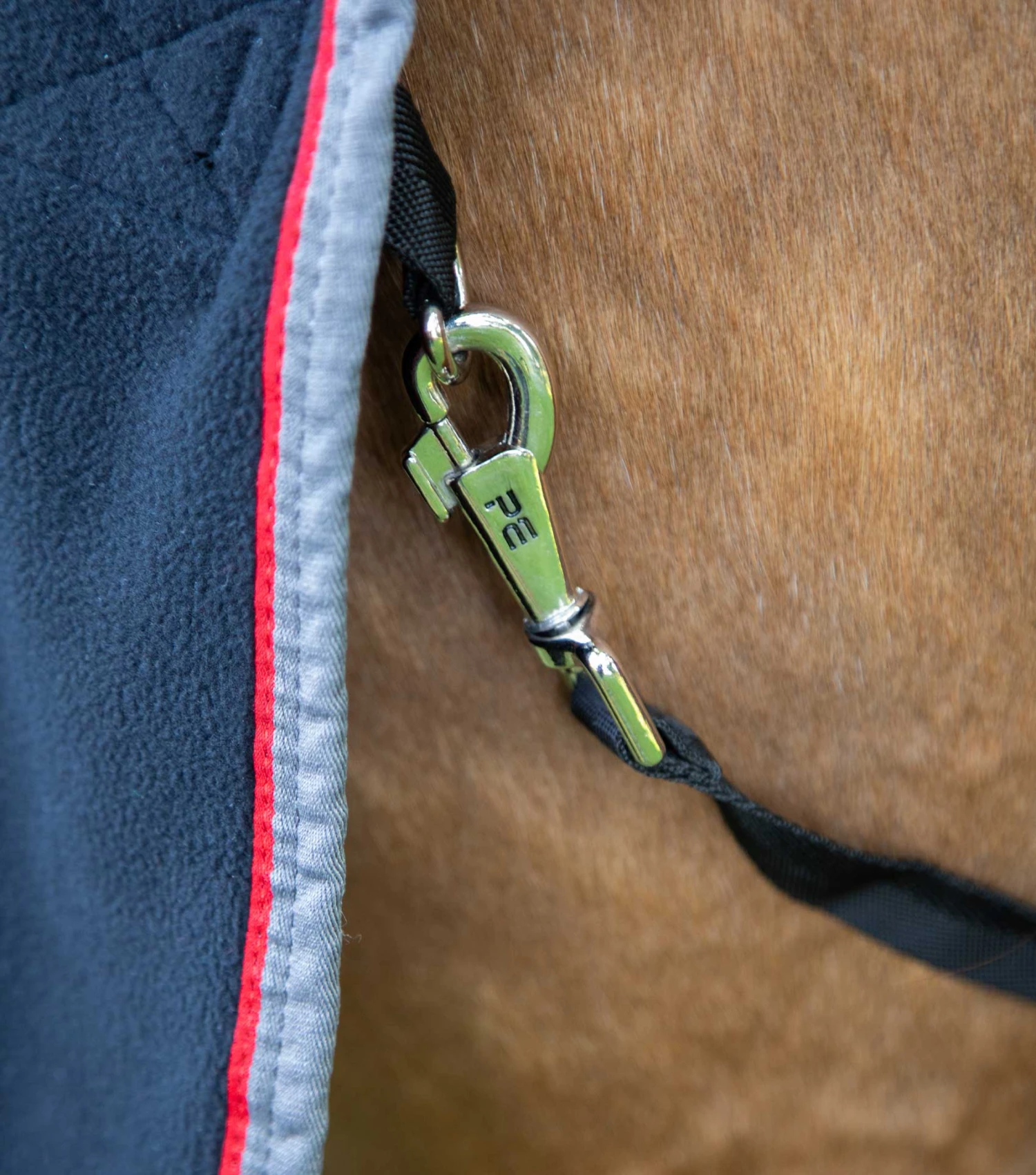 Asure Fleece Rug 8 Asure Fleece Rug - Image 6