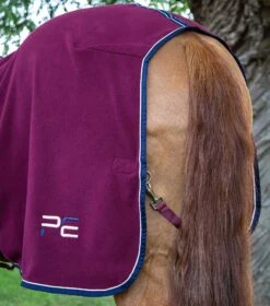 Asure Fleece Rug 31 Asure Fleece Rug -Premier Equine asure fleece rug 201550brg 141624