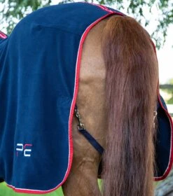 Asure Fleece Rug 37 Asure Fleece Rug -Premier Equine asure fleece rug 201550n 141688