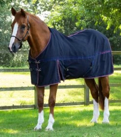 Barrasso Stable Sheet -Premier Equine barrasso stable sheet 201650n 427548