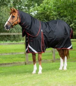 Buster 420g Turnout Rug With Classic Neck Cover 17 Buster 420g Turnout Rug With Classic Neck Cover -Premier Equine buster 420 black 1