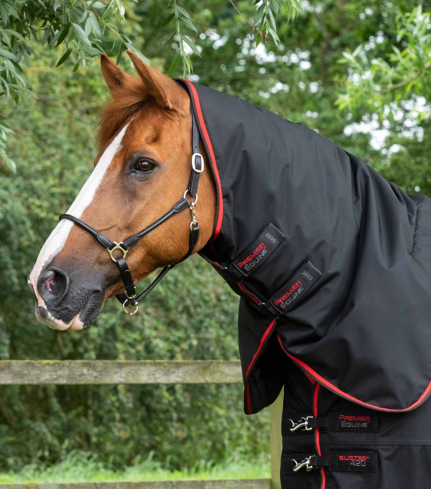 Buster 420g Turnout Rug With Classic Neck Cover 9 Buster 420g Turnout Rug With Classic Neck Cover - Image 7