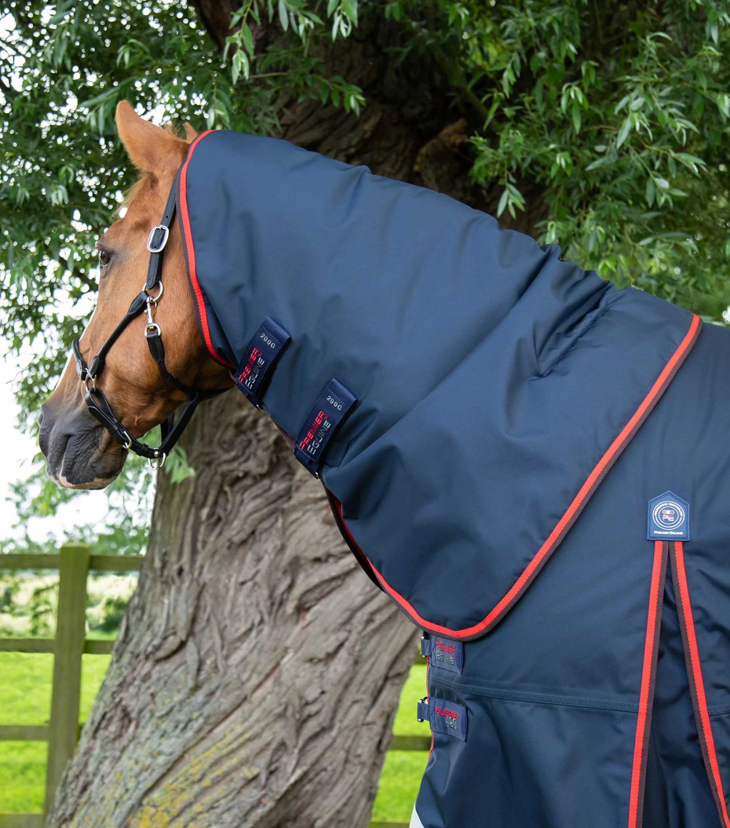 Buster 420g Turnout Rug With Classic Neck Cover 4 Buster 420g Turnout Rug With Classic Neck Cover - Image 2