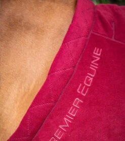 Buster Fleece Cooler Rug - Continental Edition -Premier Equine buster fleece cooler rug continental edition 209056brg 376382