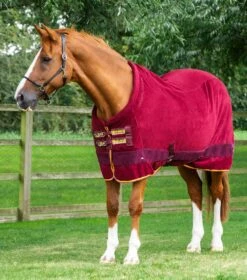 Buster Fleece Cooler Rug - Continental Edition -Premier Equine buster fleece cooler rug continental edition 209056brg 803921