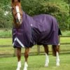 Buster Hardy 100g Half Neck Turnout Rug -Premier Equine buster hardy 100 purple 1