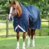 Buster Hardy 200g Half Neck Turnout Rug -Premier Equine buster hardy 200 navy 1