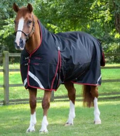 Buster Hardy 400g Half Neck Turnout Rug 17 Buster Hardy 400g Half Neck Turnout Rug -Premier Equine buster hardy 400 black 1