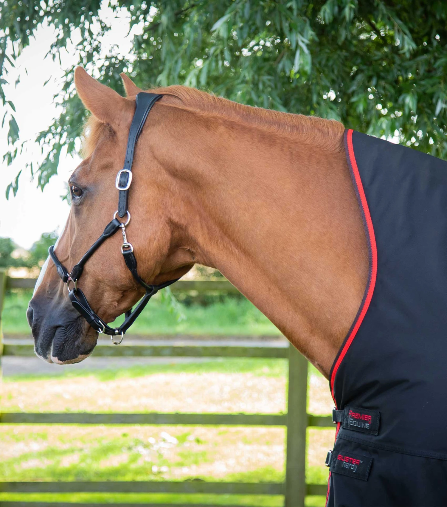 Buster Hardy 400g Half Neck Turnout Rug 9 Buster Hardy 400g Half Neck Turnout Rug - Image 7