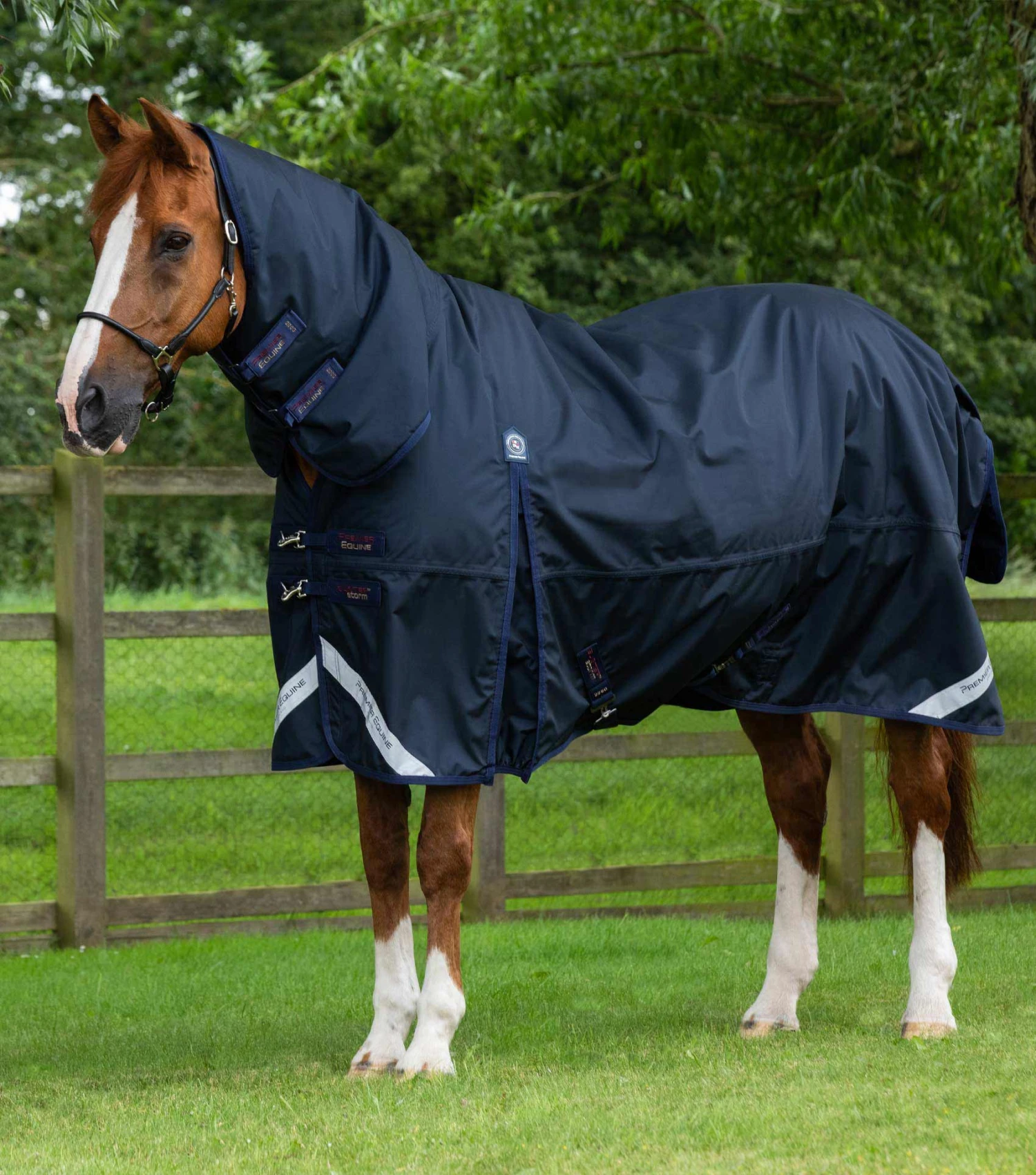 Buster Storm 220g Combo Turnout Rug With Classic Neck 3 Buster Storm 220g Combo Turnout Rug With Classic Neck