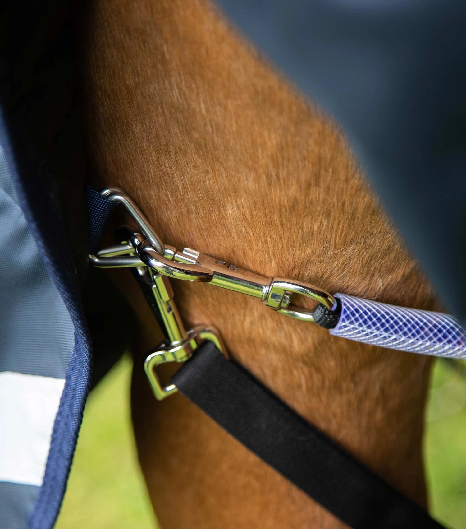 Buster Storm 220g Combo Turnout Rug With Classic Neck 7 Buster Storm 220g Combo Turnout Rug With Classic Neck - Image 5