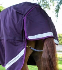 Buster Storm 420g Combo Turnout Rug With Classic Neck -Premier Equine buster storm 420 purple 6