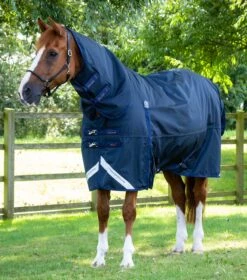 Buster Storm 420g Combo Turnout Rug With Classic Neck -Premier Equine buster storm 420g combo turnout rug with classic neck 215950n 548106