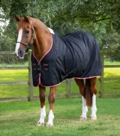 Buster Waffle Horse Cooler Rug -Premier Equine buster waffle horse cooler rug 209256blk 157554