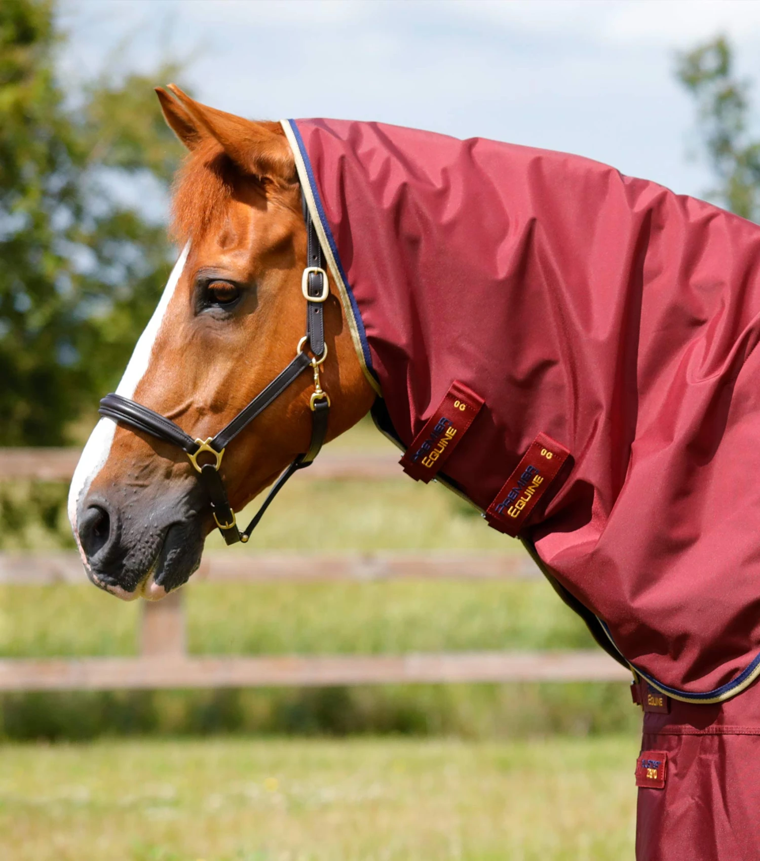 Buster Zero Classic Turnout Rug Neck Cover (0g Fill) 4 Buster Zero Classic Turnout Rug Neck Cover (0g Fill) - Image 2