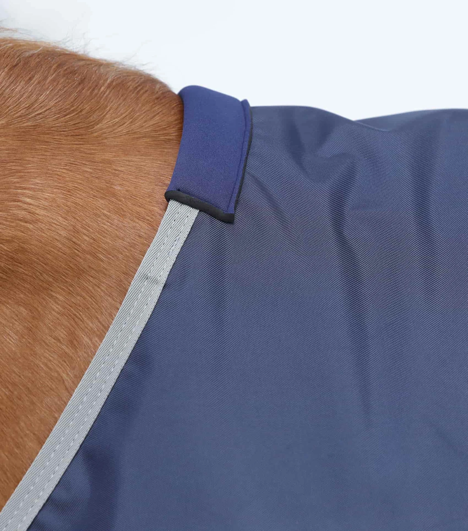 Buster Zero Original Turnout Rug 4 Buster Zero Original Turnout Rug - Image 2