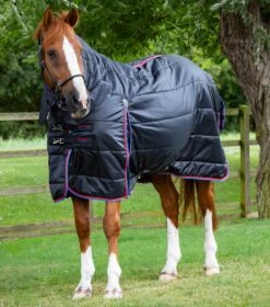 Combo Stable Rug 200g 17 Combo Stable Rug 200g -Premier Equine combo stable rug 200g black 1