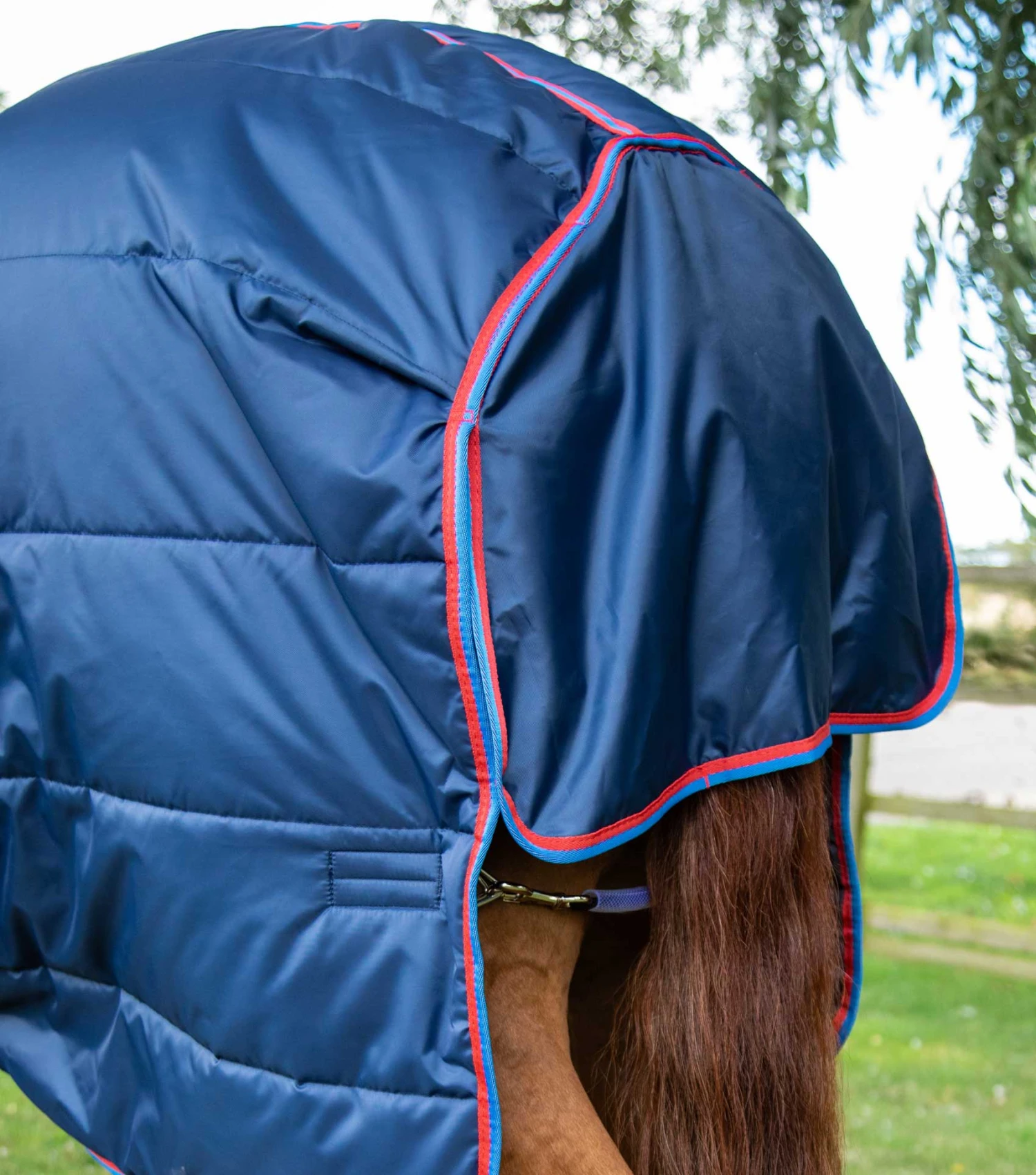 Combo Stable Rug 200g 7 Combo Stable Rug 200g - Image 5