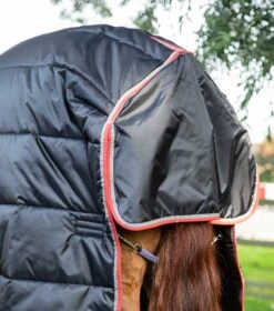 Combo Stable Rug 400g 21 Combo Stable Rug 400g -Premier Equine combo stable rug 400g 206656b 687441