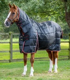 Combo Stable Rug 400g 17 Combo Stable Rug 400g -Premier Equine combo stable rug 400g 206656b 780091