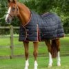Garissa Stable Rug 400g 1 Garissa Stable Rug 400g -Premier Equine garissa stable rug 400g 206950blk 591375