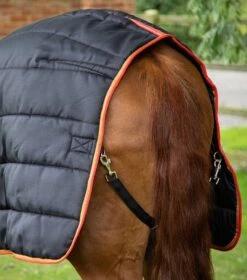Garissa Stable Rug 400g -Premier Equine garissa stable rug 400g 206950blk 895231