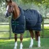 Lucanta Demi Stable 450g -Premier Equine lucanta demi stable rug 450g black 1 07453b9b a8ec 49f5 a5b7 a59a6d2fb83c