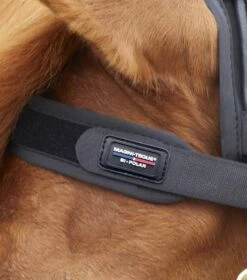 Magni-Teque Magnetic Browband -Premier Equine magni teque magnetic browband 6000 169882