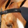 Magni-Teque Magnetic Browband -Premier Equine magni teque magnetic browband 6000 639462