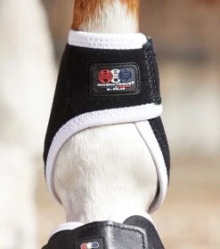 Magni-Teque Magnetic Fetlock Boots -Premier Equine magni teque magnetic fetlock boots 1013 362988