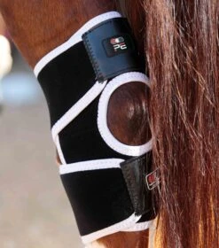 Magni-Teque Magnetic Hock Boots -Premier Equine magni teque magnetic hock boots 1016 635431