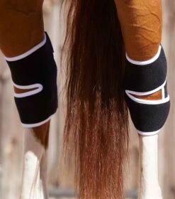 Magni-Teque Magnetic Hock Boots -Premier Equine magni teque magnetic hock boots 1016 680123