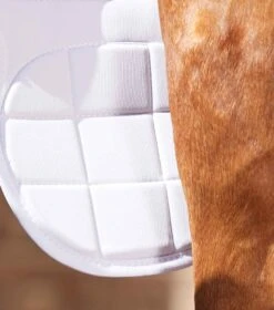 Magni-Teque Magnetic Horse Knee Boots -Premier Equine magni teque magnetic horse knee boots 1014 756360
