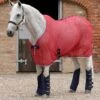 Net-Air Cooler Rug 2 Net-Air Cooler Rug -Premier Equine net air cooler rug 222756r 353230