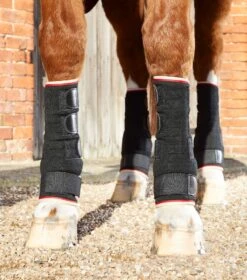 Quick Dry Horse Leg Wraps 11 Quick Dry Horse Leg Wraps -Premier Equine quick dry horse leg wraps 1002 sblk 495410