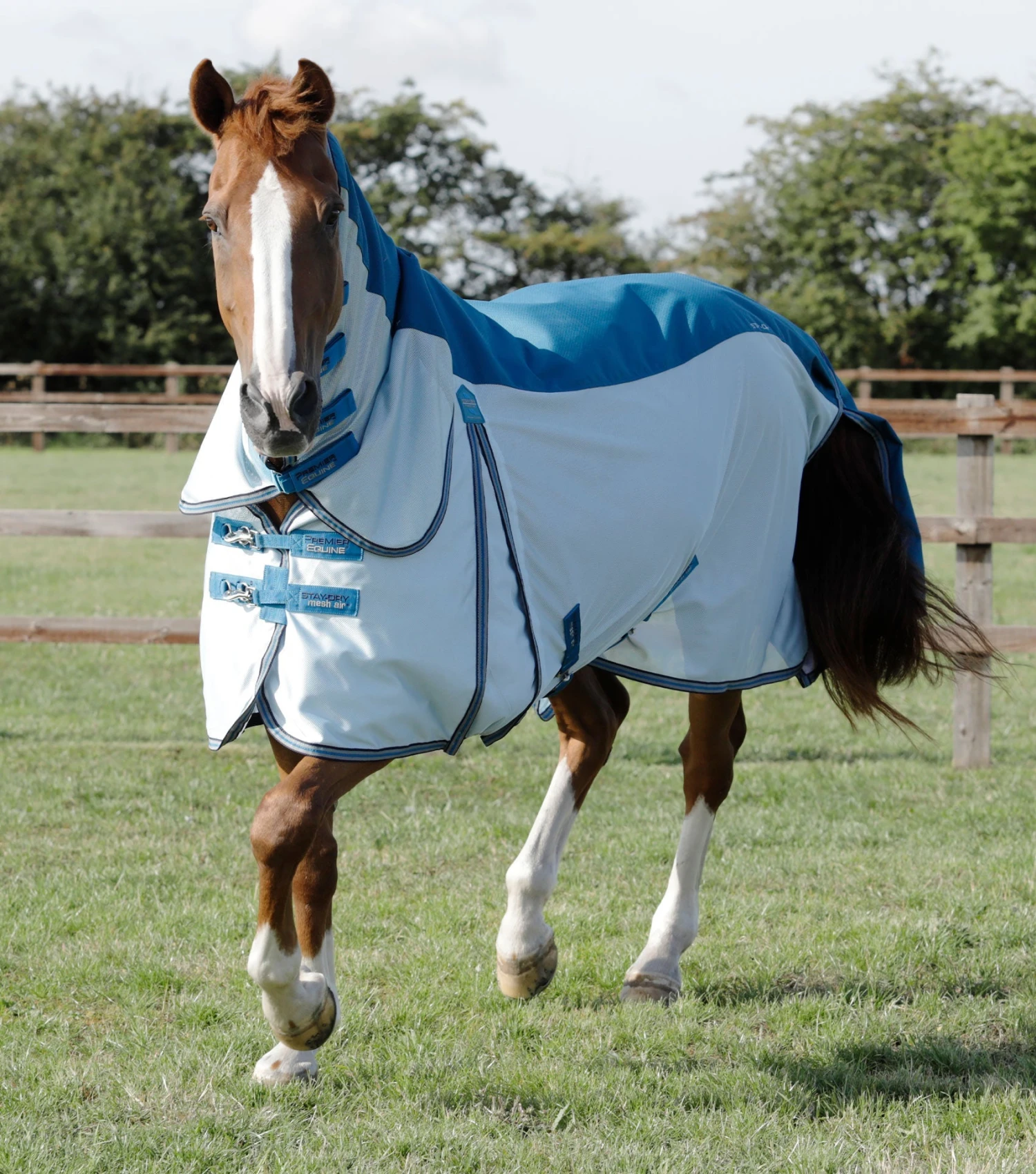 Stay-Dry Mesh Air Fly Rug With Surcingles 3 Stay-Dry Mesh Air Fly Rug With Surcingles