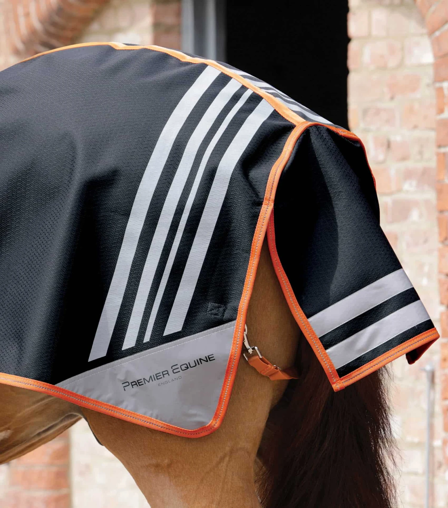 Stratus Horse Exercise Sheet 10 Stratus Horse Exercise Sheet - Image 8