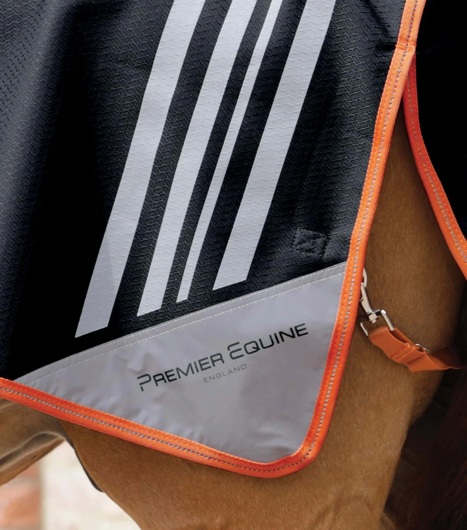 Stratus Horse Exercise Sheet 9 Stratus Horse Exercise Sheet - Image 7