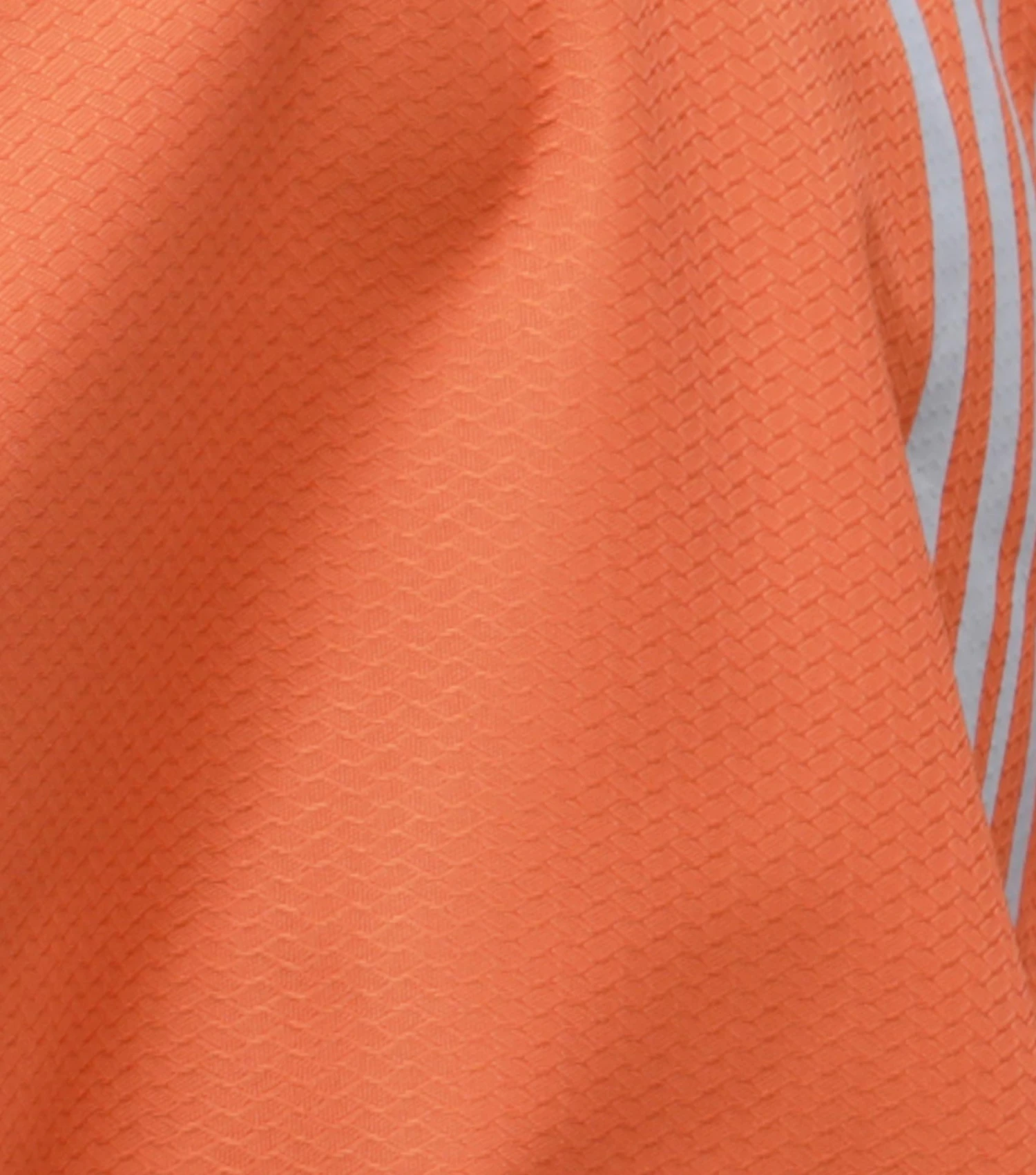 Stratus Horse Exercise Sheet 4 Stratus Horse Exercise Sheet - Image 2