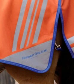 Stratus Horse Exercise Sheet 16 Stratus Horse Exercise Sheet -Premier Equine stratus horse exercise sheet 2153mbo 887866