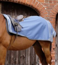 Stratus Horse Exercise Sheet 22 Stratus Horse Exercise Sheet -Premier Equine stratus horse exercise sheet 2153mpb 639955