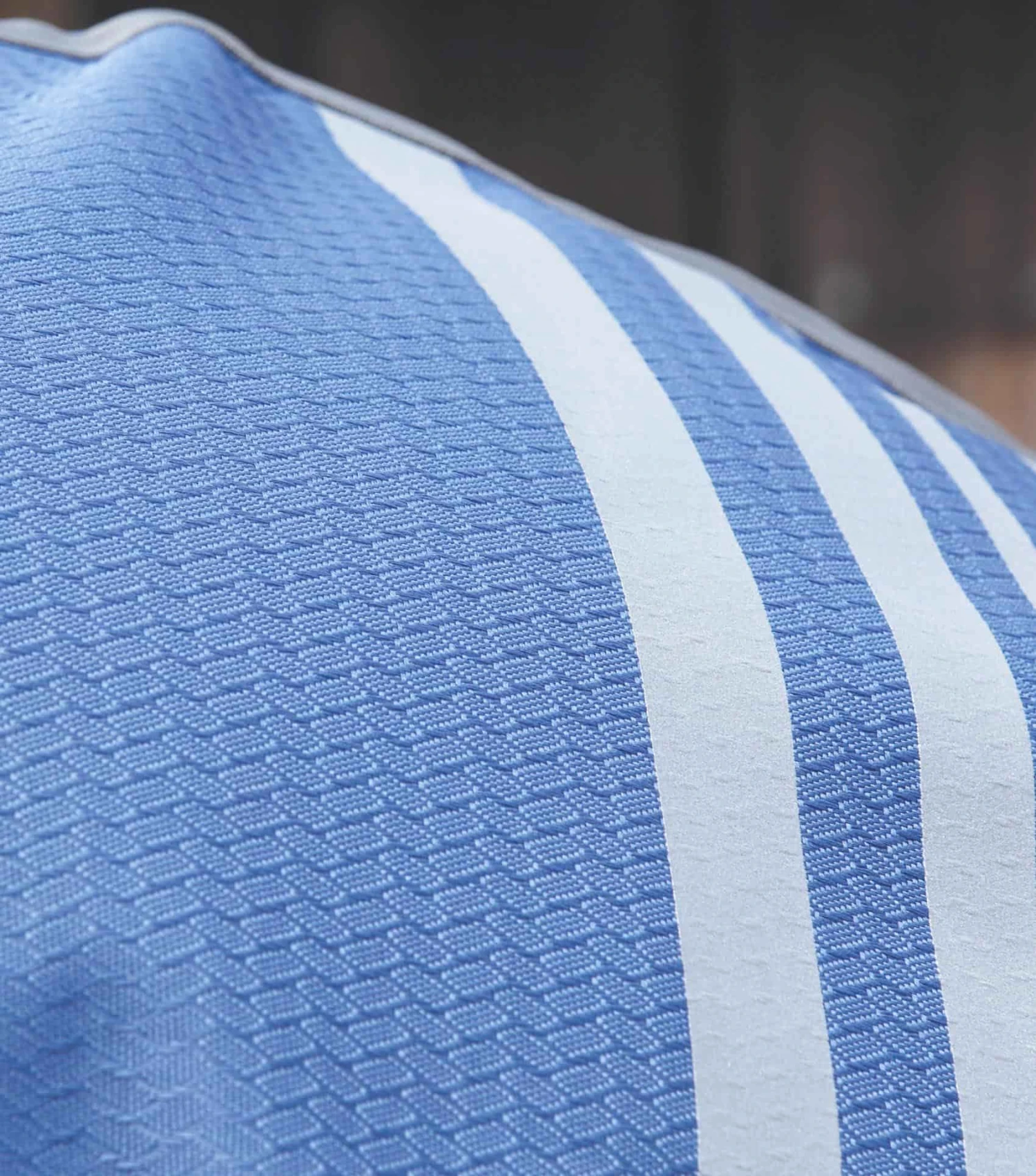 Stratus Horse Exercise Sheet 12 Stratus Horse Exercise Sheet - Image 10