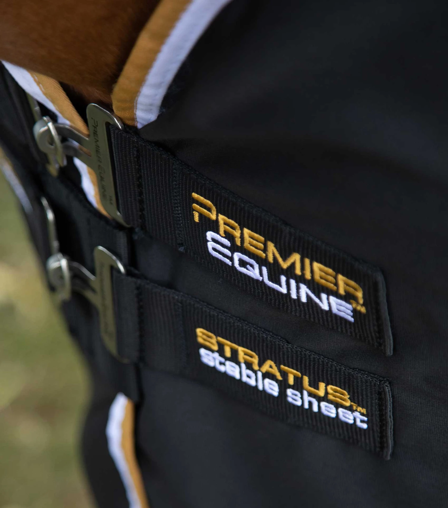 Stratus Horse Stable Sheet 10 Stratus Horse Stable Sheet - Image 8