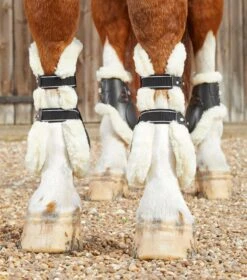 Techno Wool Tendon Boots -Premier Equine techno wool tendon boots 1039mblk 716718