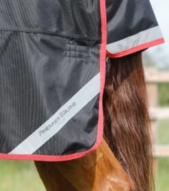 Titan 450g Original Turnout Rug -Premier Equine titan 450g original turnout rug 223256b 111560
