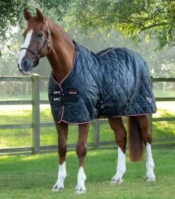 Tuscan Stable Rug 100g -Premier Equine tuscan stable rug 100g 207050blk 104857