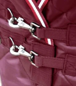 Tuscan Stable Rug 100g -Premier Equine tuscan stable rug 100g 207050brg 319847