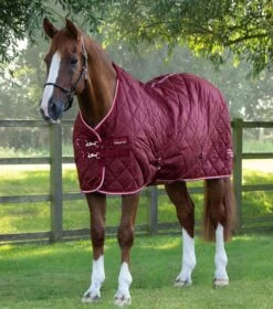 Tuscan Stable Rug 100g -Premier Equine tuscan stable rug 100g 207050brg 328956