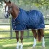 Tuscan Stable Rug 100g 2 Tuscan Stable Rug 100g -Premier Equine tuscan stable rug 100g 207050n 418073