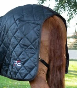 Tuscan Stable Rug 200g 33 Tuscan Stable Rug 200g -Premier Equine tuscan stable rug 200g 207250blk 631845